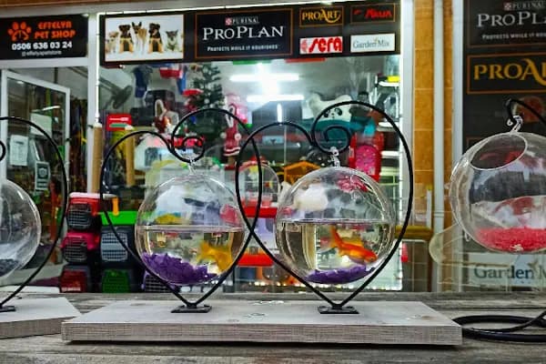 Eftelya Petshop - Evcil hayvan mağazası - Mersin Akdeniz