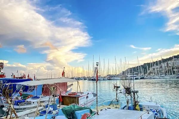 Opet - Finmar Petrol - Benzin İstasyonu - Antalya Finike
