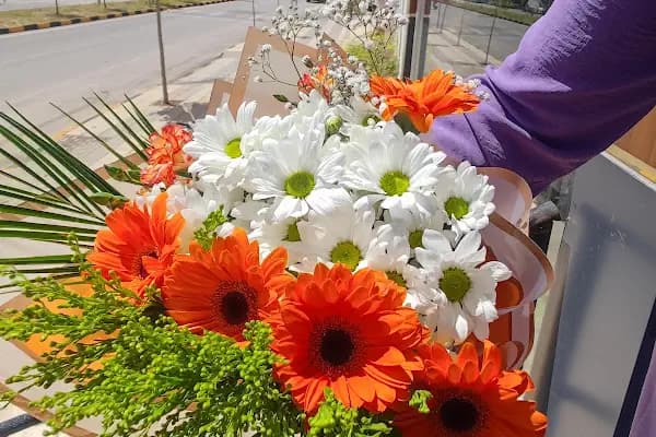 Nizip çiçekçi Lusudem flowers - Çiçekçi - Gaziantep Nizip