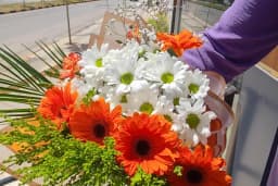 Nizip çiçekçi Lusudem flowers