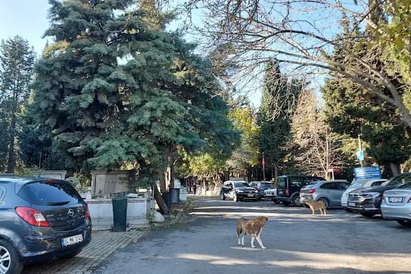 Kazlıçeşme Mezarlığı - Mezarlık - İstanbul Zeytinburnu