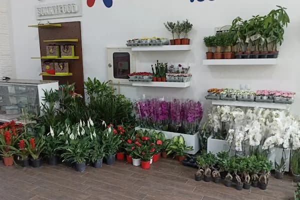 Çiçeksepeti - Çiçekçi - Malatya Yeşilyurt