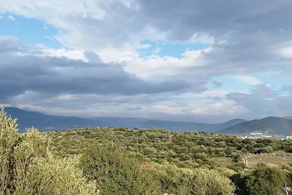 Emiralem Yeni Yayla Mezarlığı - Mezarlık - İzmir Bornova