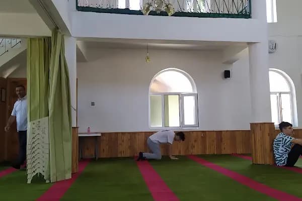 Gökçeler Köyü Camii - İbadethane - Bursa İnegöl