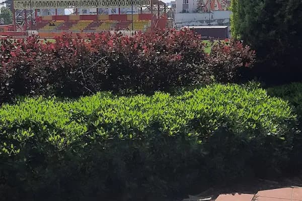 Bayındır Çiçekçiler Kooperatifi - Konut Geliştirme - İzmir Bayındır