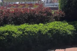 Bayındır Çiçekçiler Kooperatifi