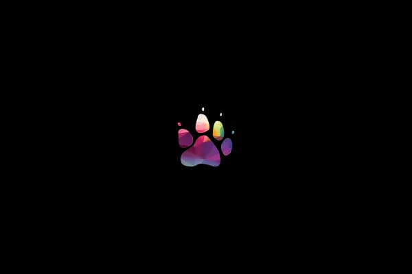 Hisar Pet Care Veterinerlik - Veteriner - İstanbul Beykoz