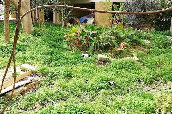 100. Yıl Sitesi - Konut Geliştirme - Mersin Anamur