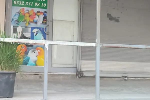 Seda Akvaryum &amp; Pet Shop - Evcil hayvan mağazası - Diyarbakır Bağlar