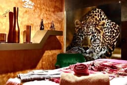 POİZ SPA - MALTEPE SPA HAMAM MASAJ VE GÜZELLİK MERKEZİ
