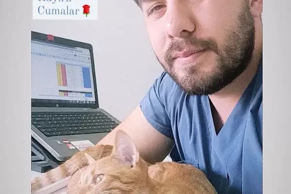 Barlas Veteriner Kliniği - Veteriner - Adana Yüreğir