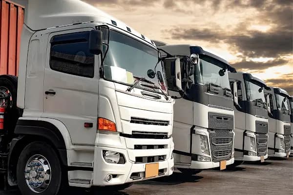 ALS CARGO - ANTALYA LOGISTIC SERVICES - Kargo Şirketi - İstanbul Başakşehir