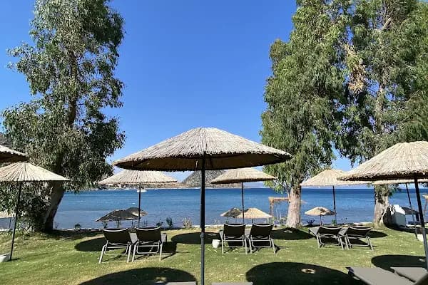 Otopark - Park Yeri - Muğla Dalaman
