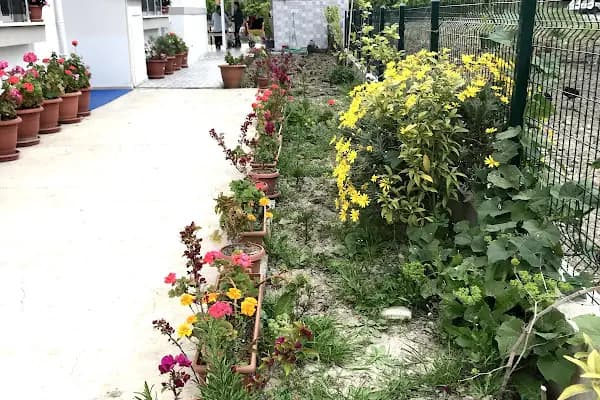 Dalaman Pansiyon - Turistik Pansiyon - Muğla Ortaca