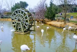 Polonezköy Tabiat Parkı