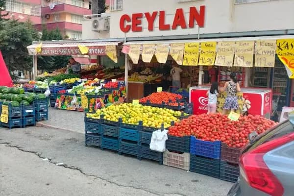 Ceylan Gross Market - Süpermarket - Adana Çukurova