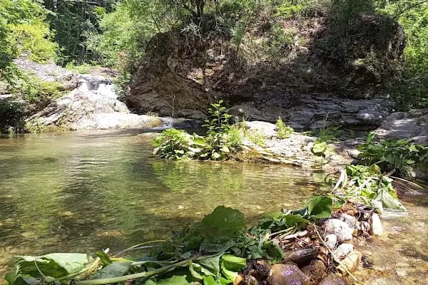 Çifte Kaynaklar Piknik ve Kamp Alanı - Piknik Alanı - Kırklareli Lüleburgaz