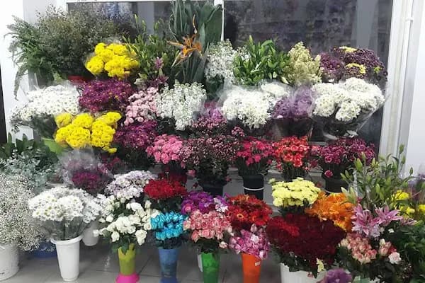 beypazarı çiçekçi orhun - Çiçekçi - Ankara Çubuk