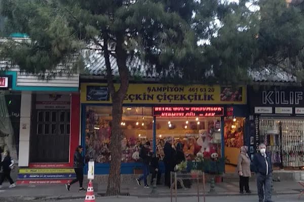 Seçkin Çiçekçilik Ltd. Şti. - Çiçekçi - İstanbul Zeytinburnu