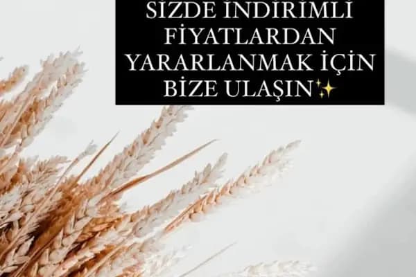 Gemlik - Yerleşim Yeri - Bursa İnegöl
