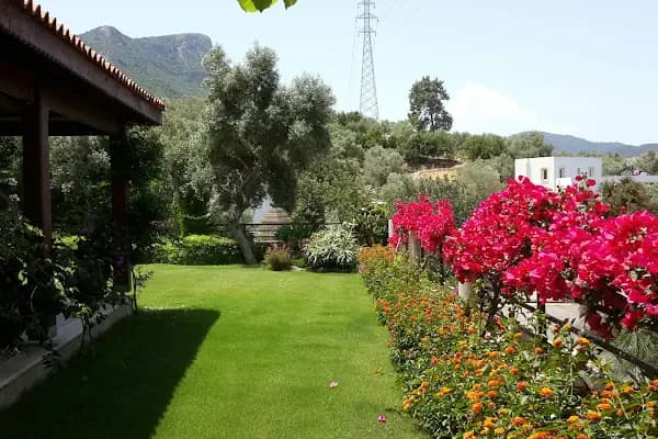 BAHÇE PEYZAJ - Peyzaj Malzemeleri Satıcısı - Muğla Bodrum