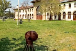 Trakya Üniversitesi Doğa Tarihi Müzesi