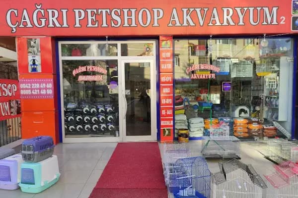 Sincan Çağrı petshop - Evcil hayvan mağazası - Ankara Sincan