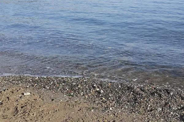 Atarlı Beach - Kumsal - İstanbul Kadıköy