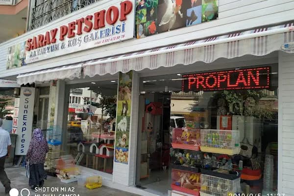 SARAY PETSHOP AKVARYUM VE KUŞ GALERİSİ - Evcil hayvan mağazası - Denizli Merkezefendi
