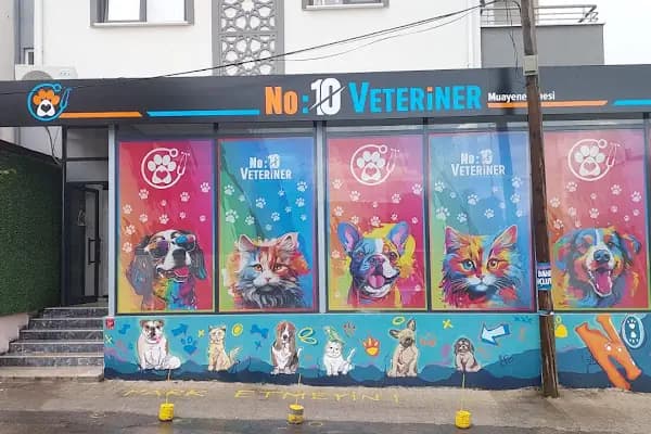 No:10 Veteriner Kliniği - Veteriner - Balıkesir Altıeylül