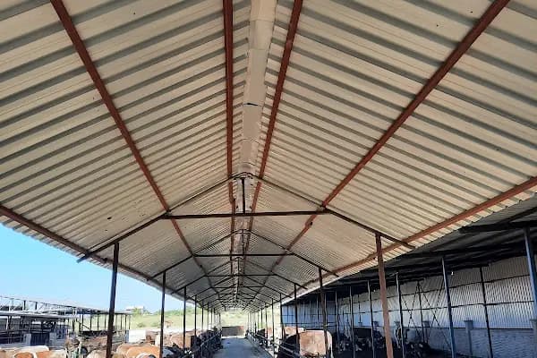 Alptekin Besi Çifliği - Çiftlik Hayvanı Satıcısı - Konya Akşehir