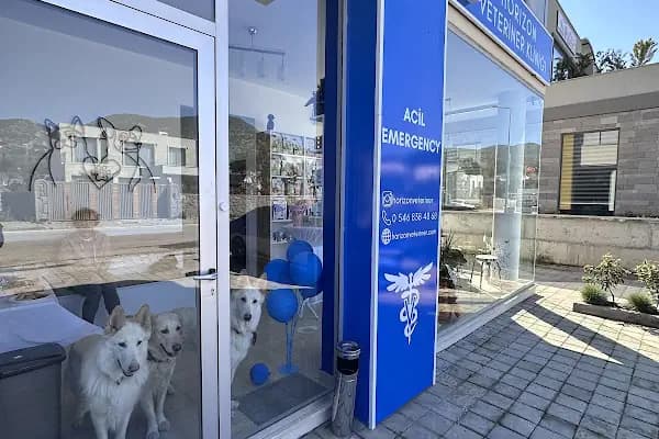 HORIZON VETERİNER KLİNİĞİ - Veteriner - Muğla Bodrum