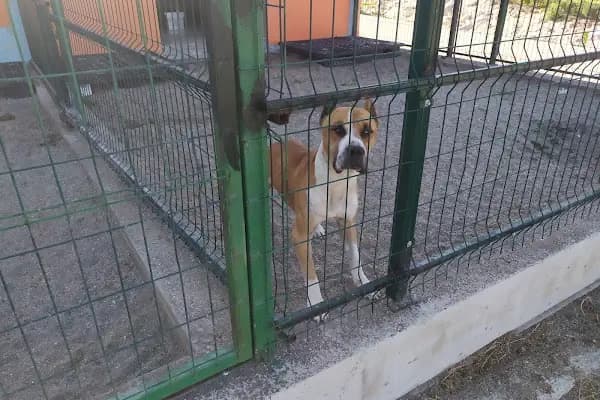 Aliağa Belediyesi Yeni Hayvan Barınağı - Hayvan Barınağı - İzmir Bornova