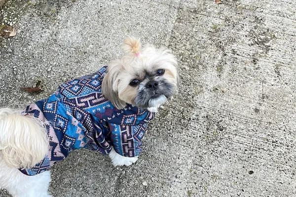Petmark Evcil Hayvan Ürünleri - Evcil Hayvan Malzemeleri Mağazası - Ankara Yenimahalle