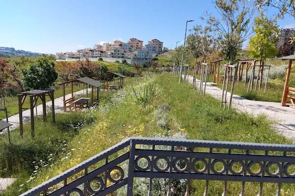 Park - Park - İstanbul Arnavutköy