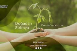 Oğuzlar Sebze Meyve