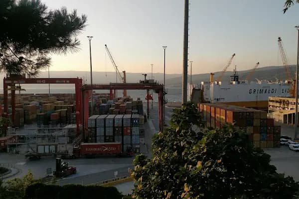GEMLİK ZEYTİN DOLUM&amp;PAKETLEME - Gıda Pazarı - Bursa Harmancık
