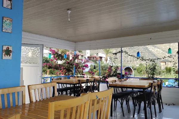 Memedim Balık Restoranı - Balık Restoranı - Antalya Döşemealtı