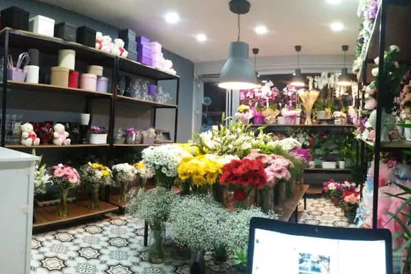 Kaliteli Çiçek - Çiçekçi - İstanbul Zeytinburnu