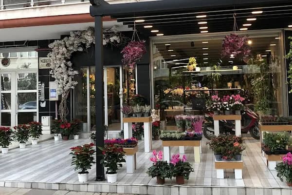 Çamlık yalı çiçek - Çiçekçi - Denizli Pamukkale