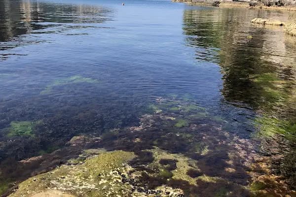 Yeniden Turizm Seyahat Acentası - Seyahat Acentesi - İzmir Konak