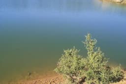 Uşakpınar Göleti