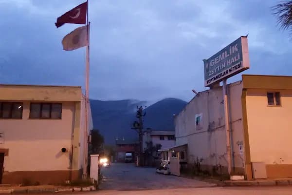 Gemlik Zeytin Hali Toptancılar Sitesi - Toptancı - Bursa Gürsu