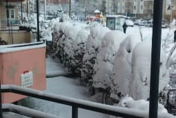 Elele Sitesi