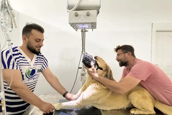 My Vet Veteriner Kliniği (since 2017) - Veteriner - Antalya Alanya