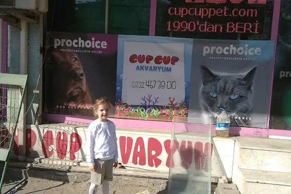 Cup Cup Akvaryum - Akvaryum Mağazası - İzmir Bornova