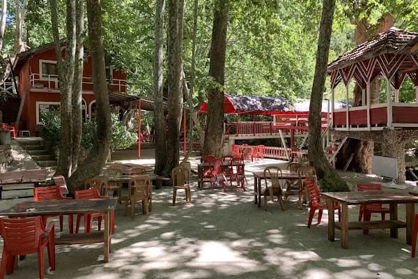 Tarzan Alabalık Çiftliği - Restoran - Antalya Akseki