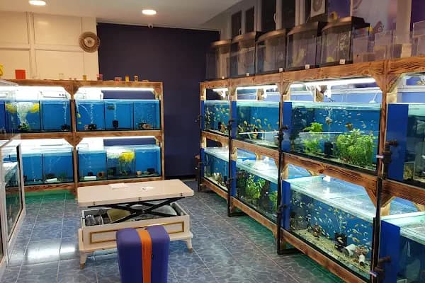 Akvaryum Express gebze pet shop - Evcil hayvan mağazası - Kocaeli Gebze