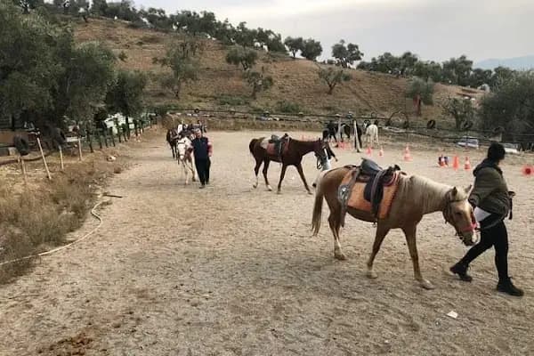 Kahramanmaraş Atlı Binicilik Spor Klubü - Spor Kulübü - Kahramanmaraş Onikişubat