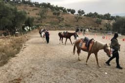 Kahramanmaraş Atlı Binicilik Spor Klubü